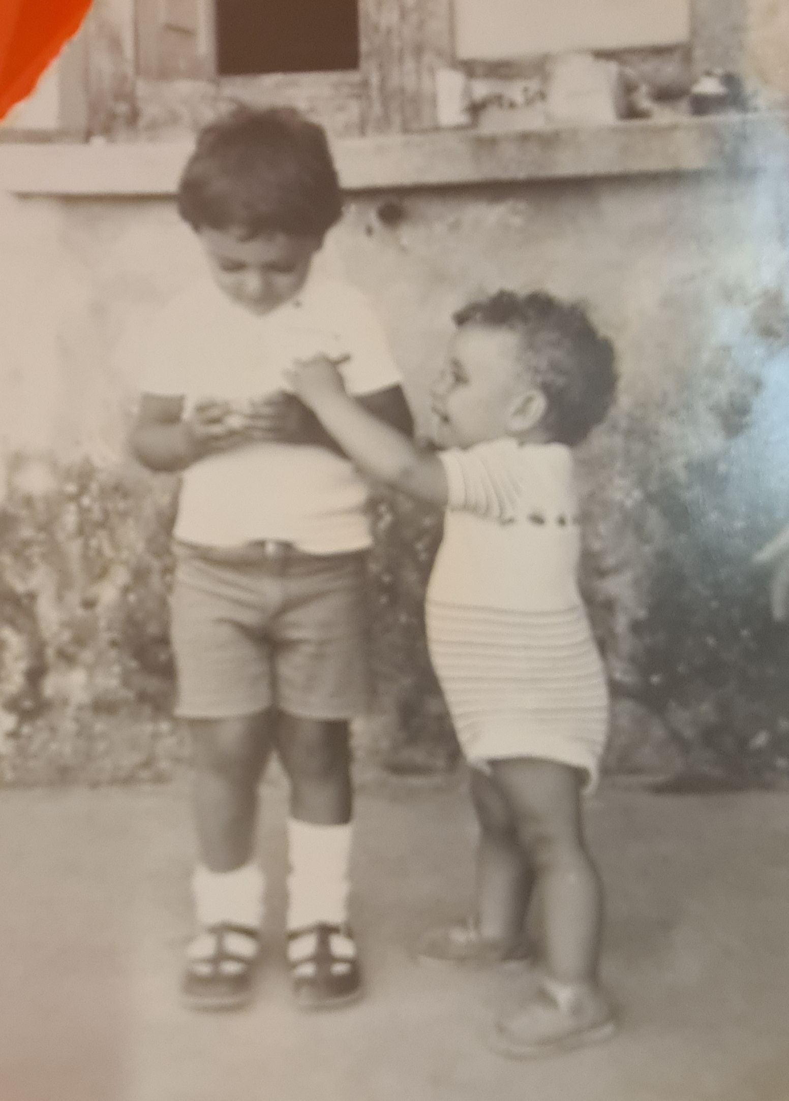 Due cugini, due percorsi differenti